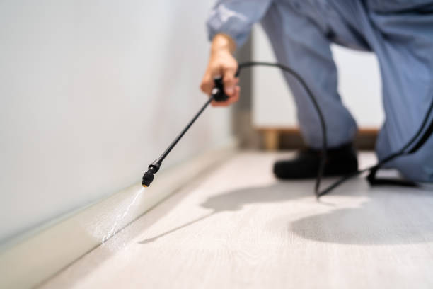 Bed Bug Pre-Treatment Preparation Assessment in Clanton