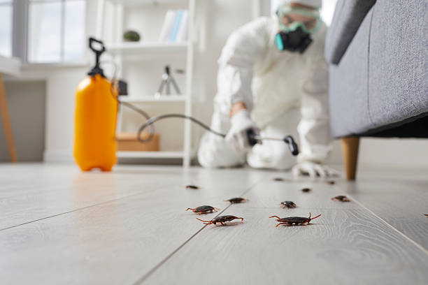 Post-Treatment Bed Bug Interceptor Monitoring in Clanton