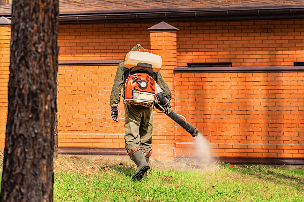 Bed Bug Clearance Verification and Documentation in Clanton